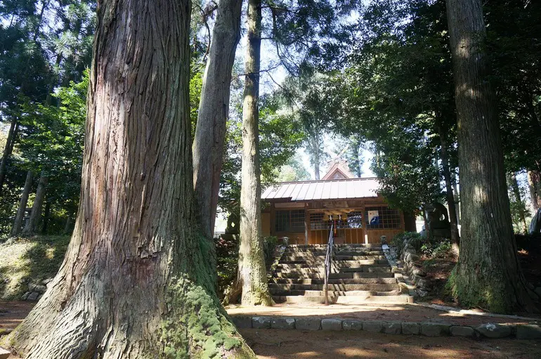 770x6110_温泉神社樹と神社